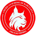 ASB Lynx Flag