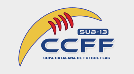 CCFF-Sub13