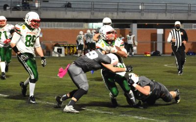 La Lliga Catalana Sènior ja té calendari