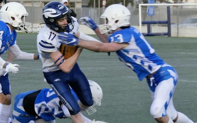 Rookies i Bocs jugaran la final de la LCFA Júnior i Rookies i Búfals lluitaran pel títol de la Lliga Femenina