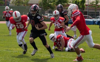 En joc els play-offs de la LCFA Júnior